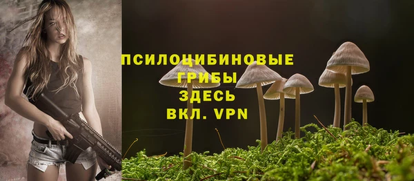 не бодяженный Володарск