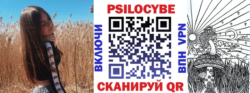 где продают   Чайковский  Галлюциногенные грибы Magic Shrooms 